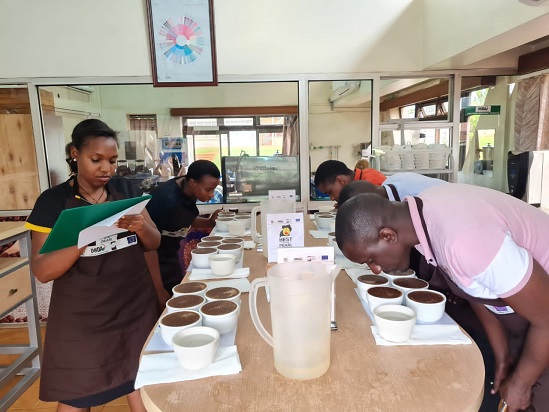 Mugamba Farm wins the “Best of the Pearl” Arabica Coffee Competition