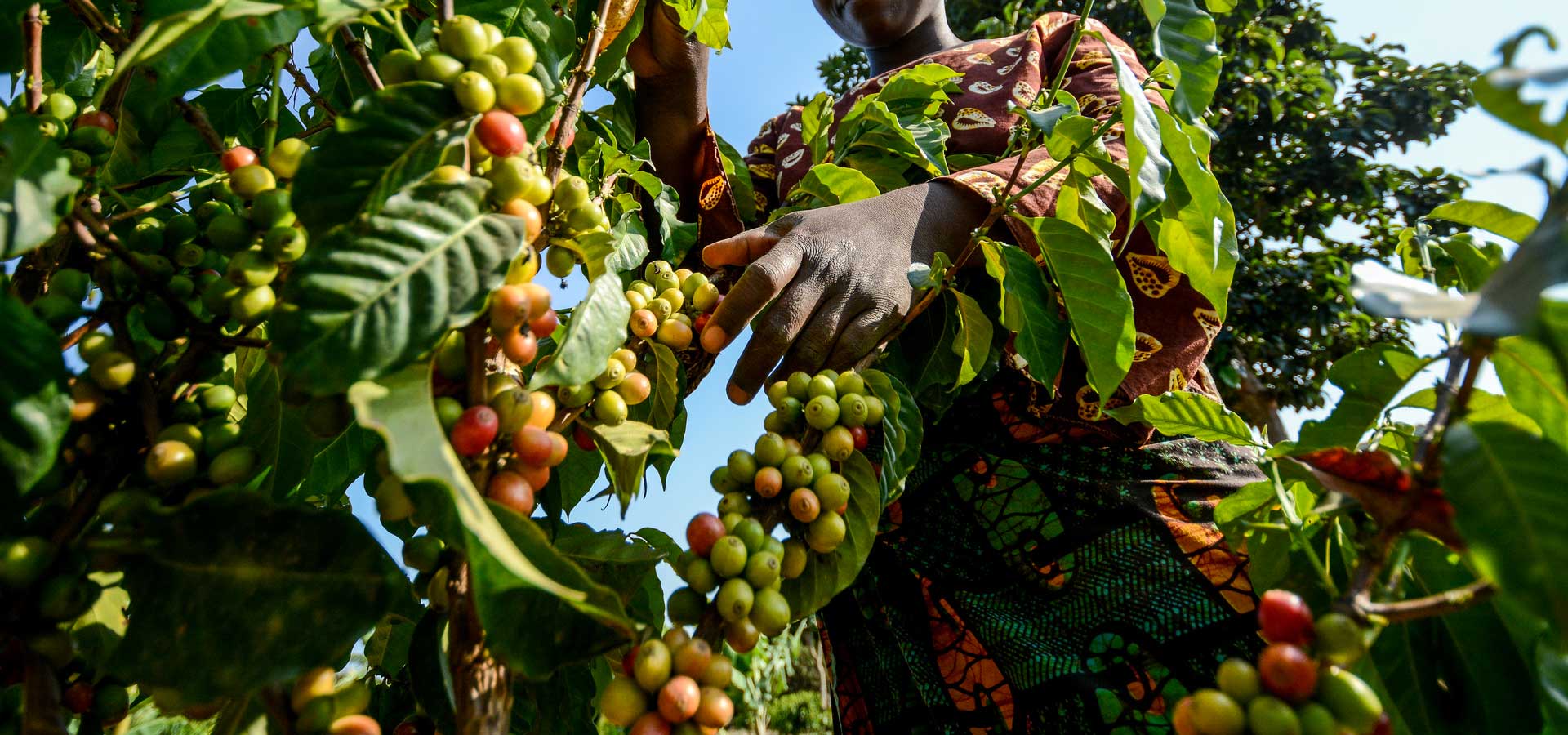 agro tourism in uganda